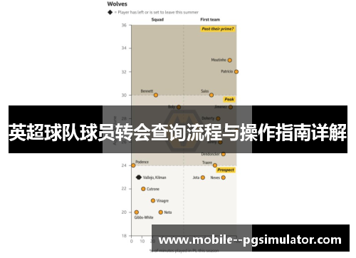英超球队球员转会查询流程与操作指南详解