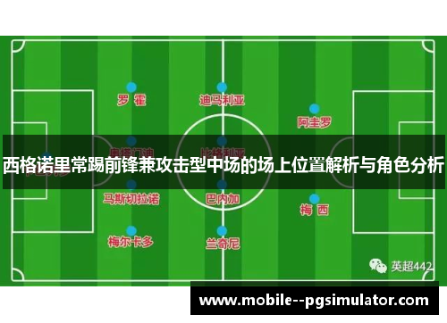 西格诺里常踢前锋兼攻击型中场的场上位置解析与角色分析