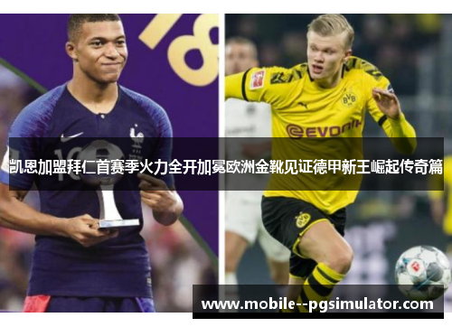 凯恩加盟拜仁首赛季火力全开加冕欧洲金靴见证德甲新王崛起传奇篇